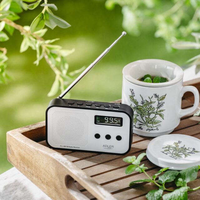 Radio Adler AD 1907 - imagine 11