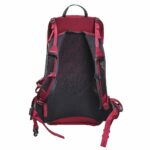 Gregory Jade 20 LT Women's trekking backpack - Red - imagine 8