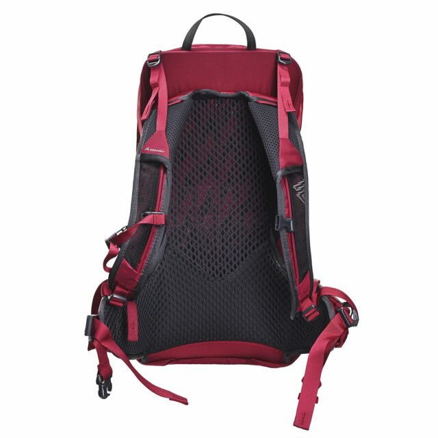 Gregory Jade 20 LT Women's trekking backpack - Red - imagine 8