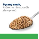 HILL'S Prescription Diet Weight loss r/d - wet dog food - 350g - imagine 2