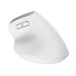 Trust Bayo+ mouse Office Right-hand RF Wireless + Bluetooth Optical 2400 DPI - imagine 7