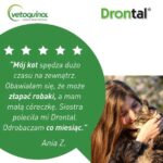 VETOQUINOL Drontal - anti-parasite tablets for cats - 2 pcs. - imagine 5