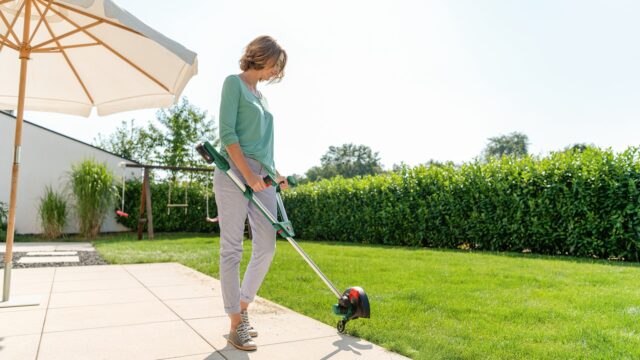 BOSCH. THE SCYTHE WAS ALIVE. UNIVERSAL GRASS CUT 18V-26 (BT) - imagine 2