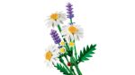 LEGO BOTANICALS 11508 Daisies - imagine 5