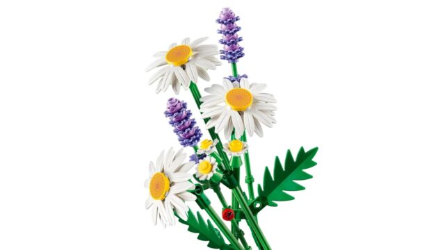 LEGO BOTANICALS 11508 Daisies - imagine 5