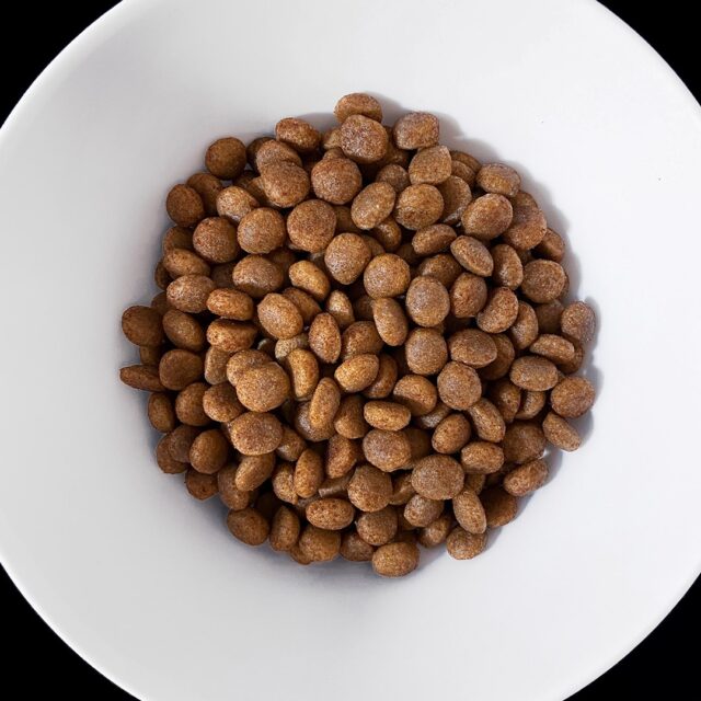 VET HYPPOALERGENIC karma dla psa 8 kg - imagine 3