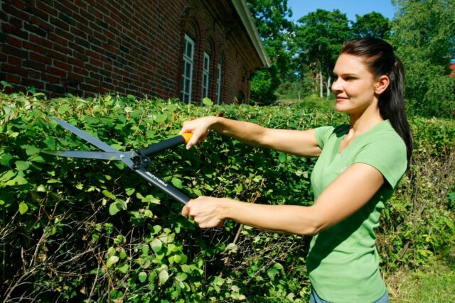 FISKARS HEDGE TRIMMER HS52 - imagine 3