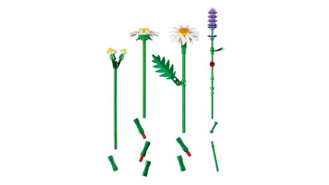 LEGO BOTANICALS 11508 Daisies - imagine 8