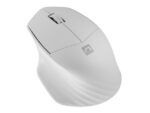 NATEC WIRELESS MOUSE SISKIN 2 BT 5.0 + 2.4GHZ - imagine 6