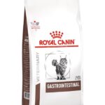 ROYAL CANIN Cat Gastrointestinal VHN - dry cat food - 2kg