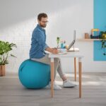 Leitz Ergo Cosy Active Sitting Ball - imagine 4