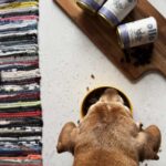 OLLO Umami Duck and turkey - wet dog food - 850g - imagine 6