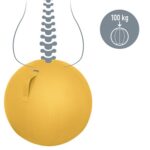 Leitz Ergo Cosy Active Sitting Ball - imagine 5