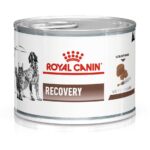 ROYAL CANIN Recovery - Wet dog and cat food - 195g