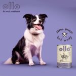 OLLO Umami Duck and turkey - wet dog food - 850g - imagine 2