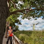 Chainsaw 18V DCMPS567N-XJ DEWALT - imagine 7