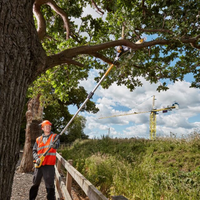 Chainsaw 18V DCMPS567N-XJ DEWALT - imagine 7