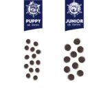 BALTICA EXCELLENT Puppy Salmon Hypoallergenic XS / S 1kg - imagine 2