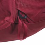 Gregory Jade 20 LT Women's trekking backpack - Red - imagine 3