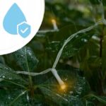 EXTRALINK KURTYNA LED ŚWIETLNA 300LED LAMPKI CHOINKOWE SOPLE WEWNĘTRZNE GIRLANDA 3X3M - imagine 7