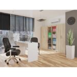 Filing cabinet OLIV 2D 74x35x180 cm  sonoma - imagine 7