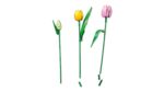 LEGO BOTANICALS 11501 Tulip Bouquet - imagine 13