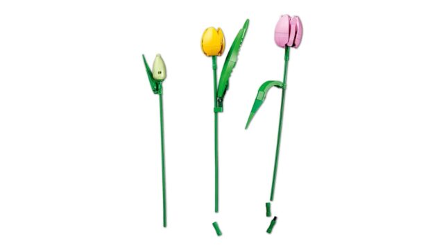 LEGO BOTANICALS 11501 Tulip Bouquet - imagine 13