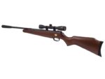 Air Rifle BEEMAN USA QUIET TEK m.1153 GAS RAM k.5.5 mm - imagine 6