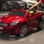 Green Cell LFPGC12V10AH UPS battery Lithium Iron Phosphate (LiFePO4) 12.8 V 10 Ah - imagine 21