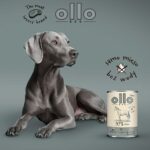 OLLO Pure Horse - wet dog food - 400g - imagine 2
