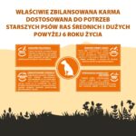 PUPIL PREMIUM M&L Light&Senior bogata w Indyka 12kg - imagine 4