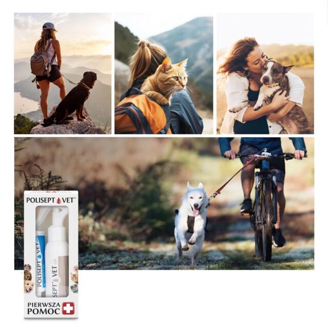 JM SANTE Polisept Vet - first aid kit for dogs and cats - imagine 3