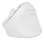 NATEC Crake 2 mouse Universal Right-hand RF Wireless + Bluetooth Optical 2400 DPI - imagine 7