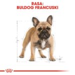 ROYAL CANIN French Bulldog Adult - dry dog food - 3 kg - imagine 3