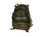 Backpack 20L 3-Day Assault Pack - wz.93  Forest Panther - imagine 4