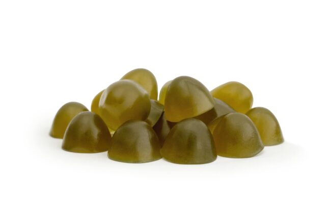 GELOREN Horse HA Joints - vitamins for horses - 450g - imagine 3