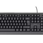 Trust Basics keyboard USB QWERTY US English Black