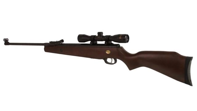 Air Rifle BEEMAN USA GRIZZLY X2 m.1073GP GAS RAM k.4 5/5 5 mm - imagine 8