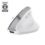 Trust Bayo+ mouse Office Right-hand RF Wireless + Bluetooth Optical 2400 DPI