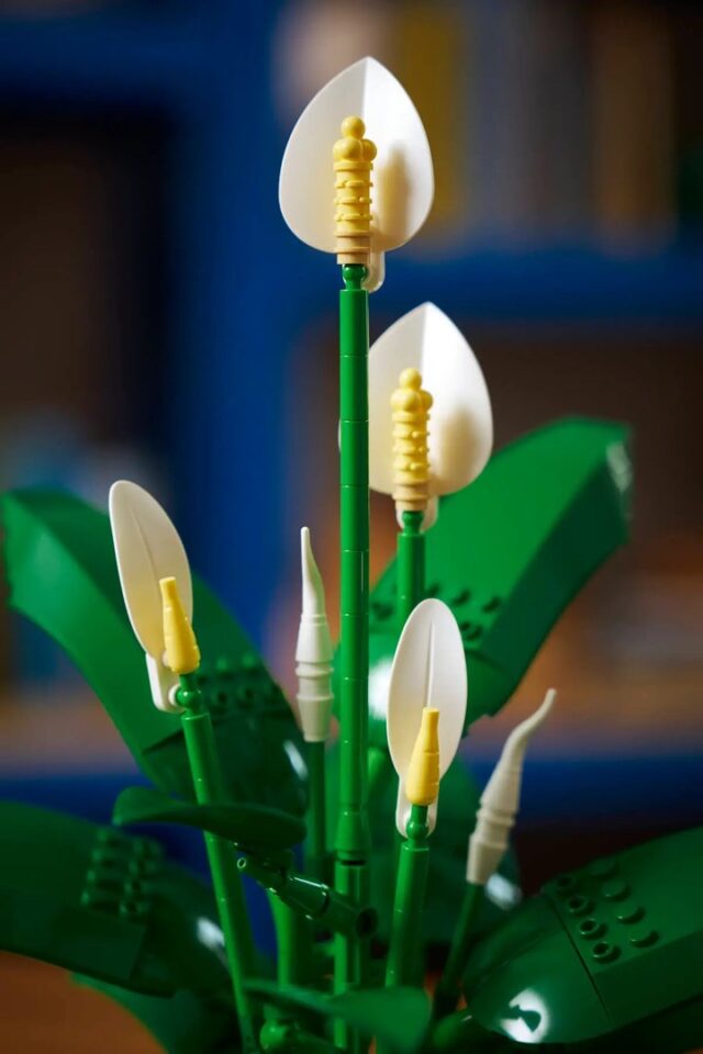 LEGO BOTANICALS 11504 Peace Lily - imagine 9