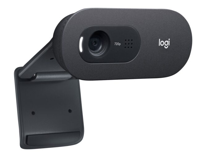 Logitech C505 webcam 1280 x 720 px USB Black - imagine 2
