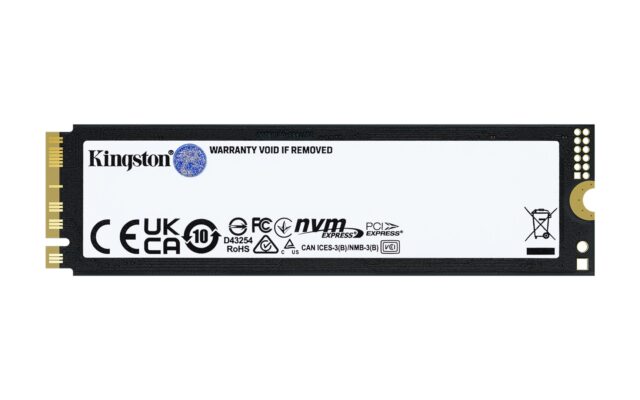 Kingston Technology 4T FURY RENEGADE G5 M.2 2280 NVMe SSD - imagine 2