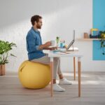 Leitz Ergo Cosy Active Sitting Ball - imagine 2