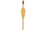 Poe Lang Target Wooden 30  D-027A-B1 Wooden arrows 5 pcs - imagine 4