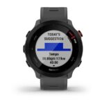 Garmin Forerunner 55 MIP 42 mm Digital 208 x 208 pixels Touchscreen Grey GPS (satellite) - imagine 2
