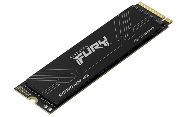Kingston Technology 4T FURY RENEGADE G5 M.2 2280 NVMe SSD - imagine 3