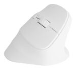 NATEC Crake 2 mouse Universal Right-hand RF Wireless + Bluetooth Optical 2400 DPI - imagine 11