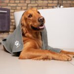 Vileda PET PRO M microfibre pet towel - imagine 6