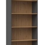 Topeshop R80 ANT/ART office bookcase