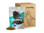 GELOREN Horse HA Joints - vitamins for horses - 450g - imagine 2